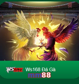 mm88